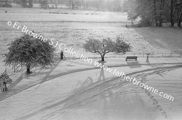 RATHFARNHAM CASTLE GROUNDS IN THE SNOW